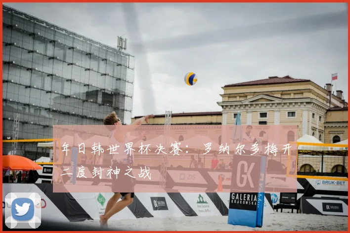 年日韩世界杯决赛：罗纳尔多梅开二度封神之战